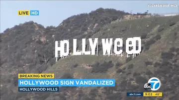Хулиган, превративший Hollywood в Hollyweed, сам явился в полицию