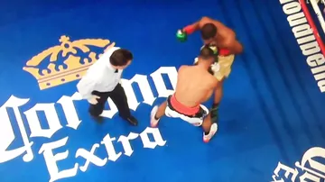 Боксёр врезал судье в челюсть во время титульного боя
