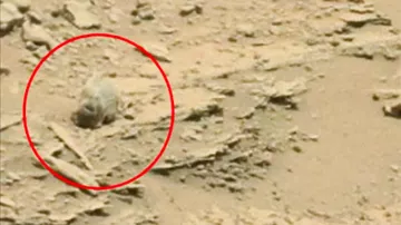 5 Таинственных и загадочных вещах, снятых НАСА на камеру на Марсе