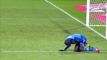 Симуляция вратаря сборной Сенегала взорвала интернет