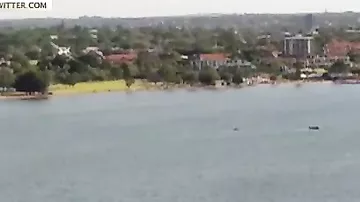 Самолет рухнул в реку во время авиашоу в Австралии: видео