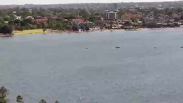 На авиашоу в Австралии самолет упал в реку_1