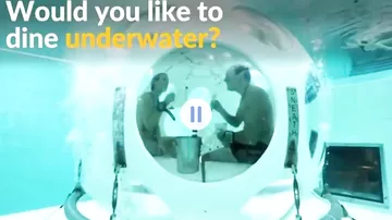В Бельгии открыли подводный ресторан
