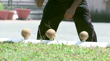 Индиец установил рекорд, разбив за минуту кулаками 124 кокоса