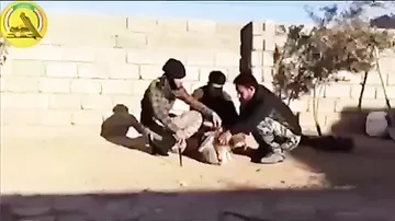 Боевики ИГИЛ используют для терактов щенков
