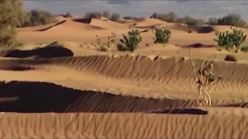 8 самых странных находок в пустыне Сахара