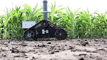 Yeni robot bitkiləri müşahidə edəcək