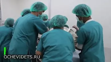 Хирурги спасли черепаху, проглотившую 5 кг монет