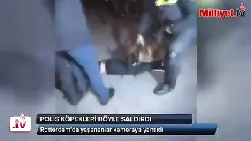 Polisin yaraladığı türk ehtiyat Holland zabiti çıxdı