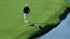 Американский гольфист столкнул аллигатора с поля в водоем во время турнира
