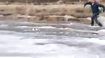 Канадец спас свою собаку, которая чуть не утонула в озере