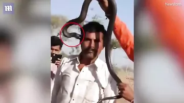 В Индии кобра укусила туриста во время съёмки