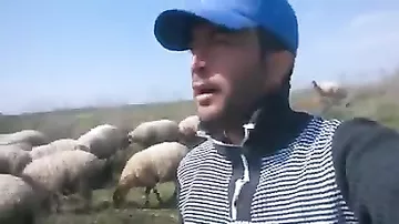 Neftçalada çobanlıq edən istedadlı gənc