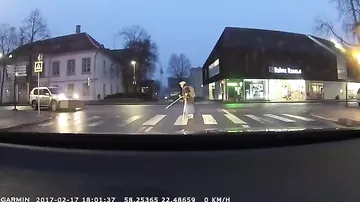 Эстонец хотел перевести бабушку через дорогу, но забыл про ручник