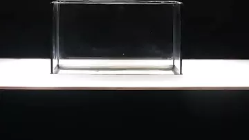 Onların ustalığı  Hollivud filmlərini geridə qoydu