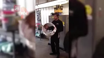 Видео с элегантным способом скрыться от погони привело в восторг соцсети
