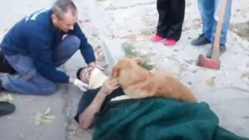 Преданный пёс не отходил от хозяина, потерявшего сознание, пока не приехал врач