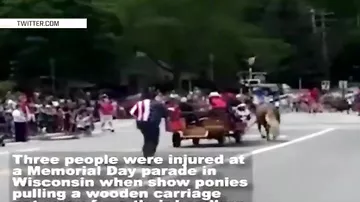 Неуправляемые пони затоптали трех человек на параде в США