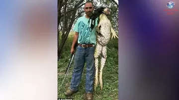 Охотник поймал 6-килограммовую лягушку размером с собаку