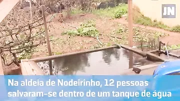 12 португальцев спаслись в резервуаре для воды во время сильных пожаров
