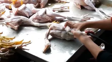 Как готовят курицу для продажи, шокирующая правда