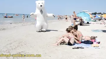 Белый медведь на пляже