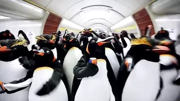 Пингвины в метро