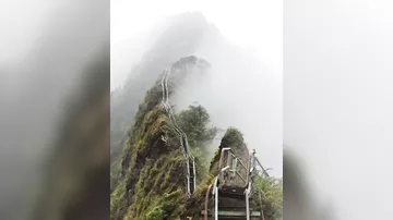 Лестница в небо: тропа Хайку на Гаваях, США