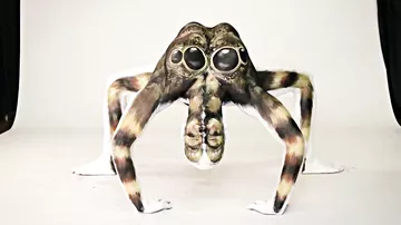 Девушка превращается в гигантского тарантула при помощи красок