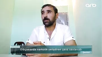 “Çəkdim, gördüm yaxşıdır, toxumlarını saxladım” - Dibçəkdə narkotik becərən şəxs saxlanıldı