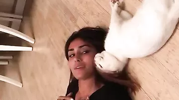 Pərvinin pişiyi ilə maraqlı videosu