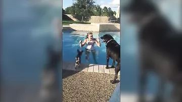 Пользователей Сети умилила находчивая собачка, которая не хотела купаться