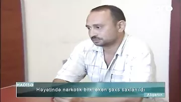 “Dedim əsəbimi sakitləşdirərəm” – Həyətində narkotik becərən şəxsin peşmançılığı