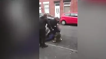 В Манчестере подозреваемый при задержании искусал полицейскую собаку