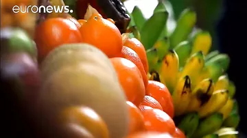 Азербайджанский кутаб: вкусный путеводитель