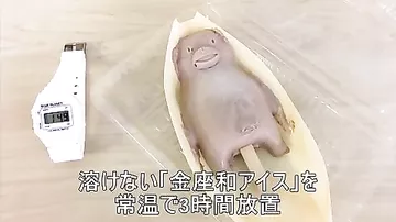 Ученые создали нетающее мороженое