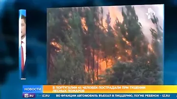 В Португалии 45 человек пострадали в результате лесных пожаров