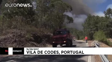 В Португалии пожары уничтожают лес