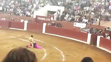 В Сети появилось шокирующее видео с быком, который пронзил тореадора рогами