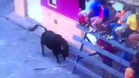 В Испании разъяренный бык "сыграл в боулинг" людьми