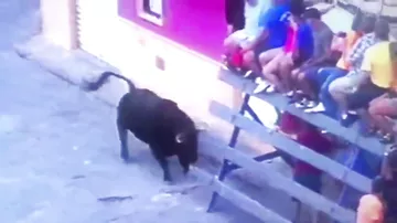 В Испании разъяренный бык "сыграл в боулинг" людьми