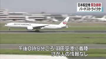 Японский "боинг" экстренно приземлился в Токио из-за пожара в двигателе