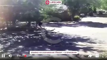 Ликвидация одиозного бандглаваря в Дагестане попала на видео