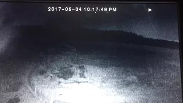 Kanada meteorit yağışına tutuldu