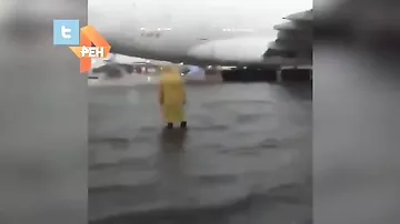 Международный аэропорт Майами затопило водой