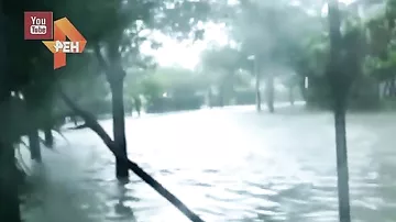 Жители затопленного Майами боятся покидать дома из-за странных существ в воде