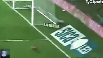 Собака сорвала футбольный матч, виртуозно завладев мячом