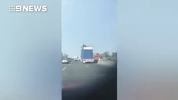Дорожный знак чудом не обезглавил корову, которая высунула голову из грузовика
