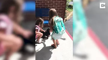 Сёстры по-разному отреагировали на нового четвероногого члена семьи