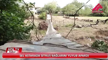 Güclü sel sitrus bağlarını yuyub apardı - ASTARADA TƏBİİ FƏLAKƏT